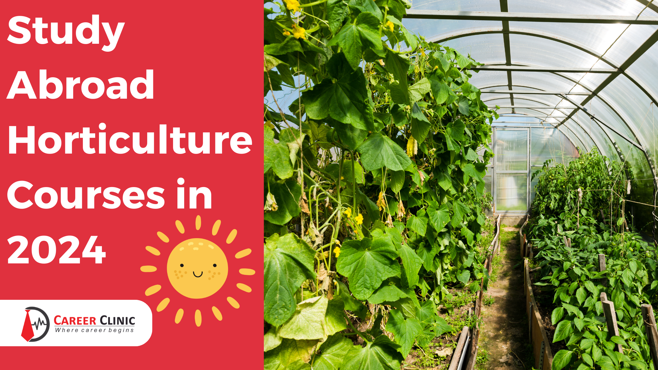 1690370418-177815-897