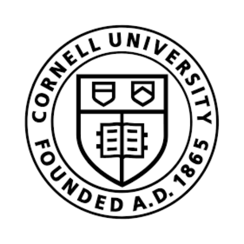 1680686908-939311-601