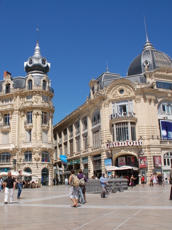 1687591359-243251-622